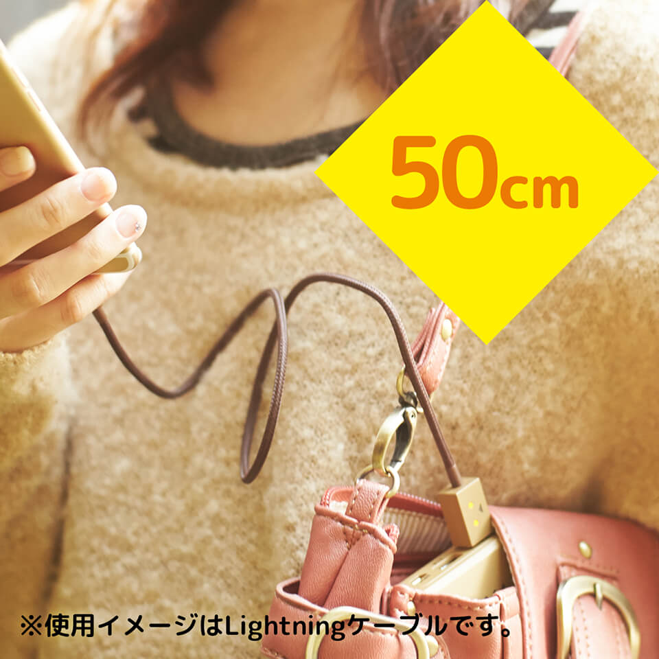 cheero DANBOARD USB Cable with micro USB