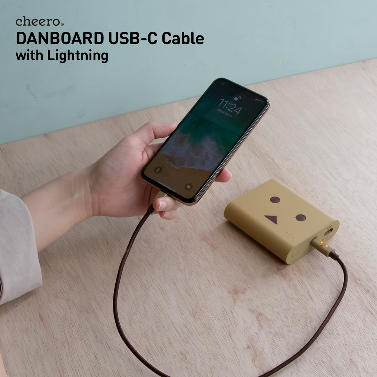 cheero DANBOARD USB-C Cable with Lightning