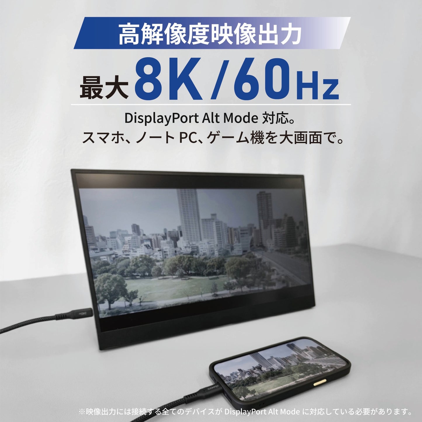 cheero USB-C to C Fast Cable 240W