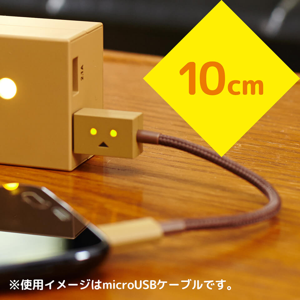cheero DANBOARD USB Cable with Lightning & micro USB
