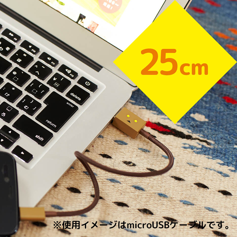 cheero DANBOARD USB Cable with Lightning & micro USB
