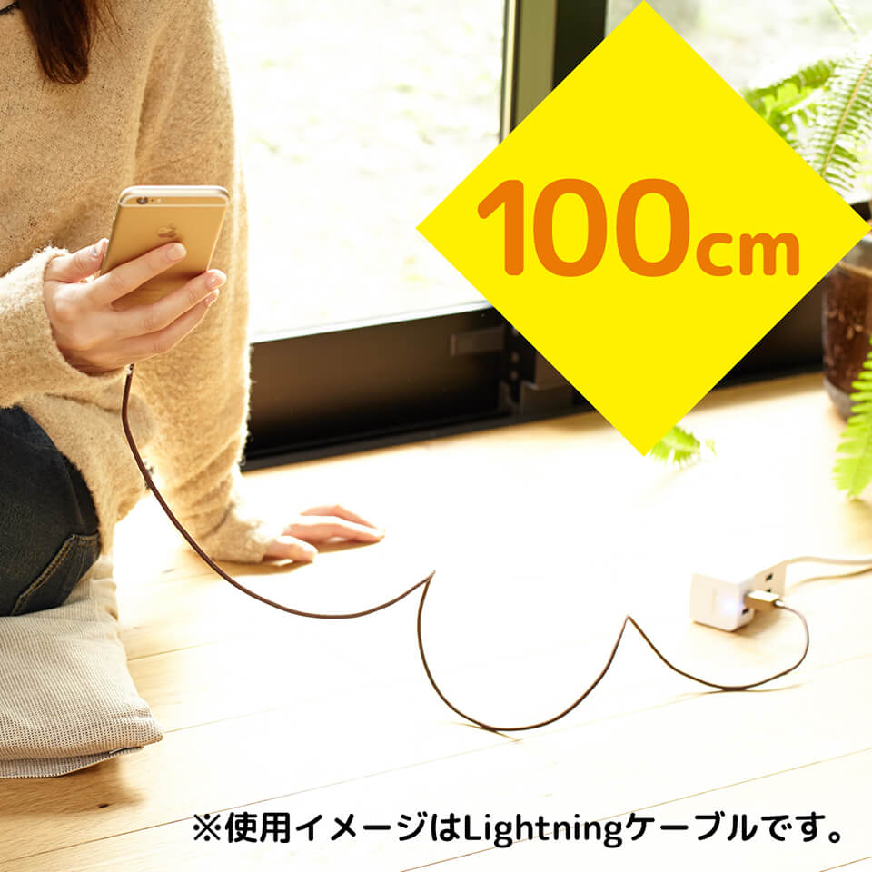 【販売終了】cheero DANBOARD USB Cable with Lightning