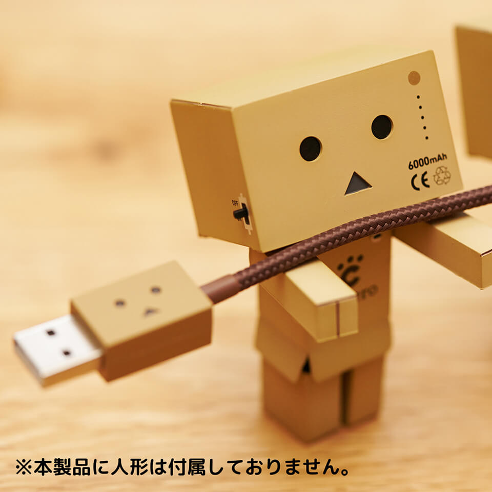 cheero DANBOARD USB Cable with Lightning