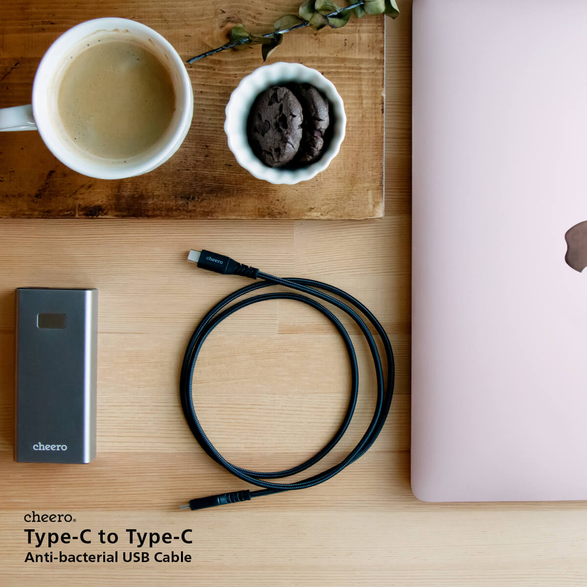 【販売終了】Type-C to Type-C Anti-bacterial USB cable