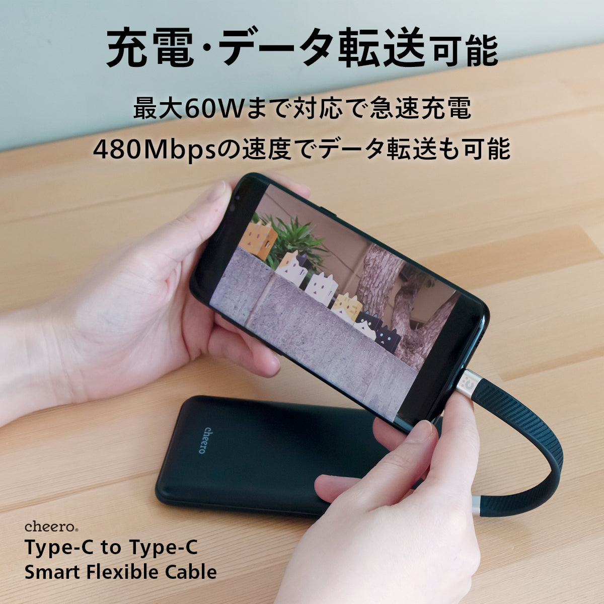 【販売終了】cheero Type-C to Type-C Smart Flexible Cable